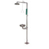 Emergency Shower and Eyewash Station SS-S100