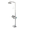 Emergency Shower and Eyewashes SS-S250