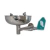 Stainless Steel Wall Mounted Eyewashe SS-B100